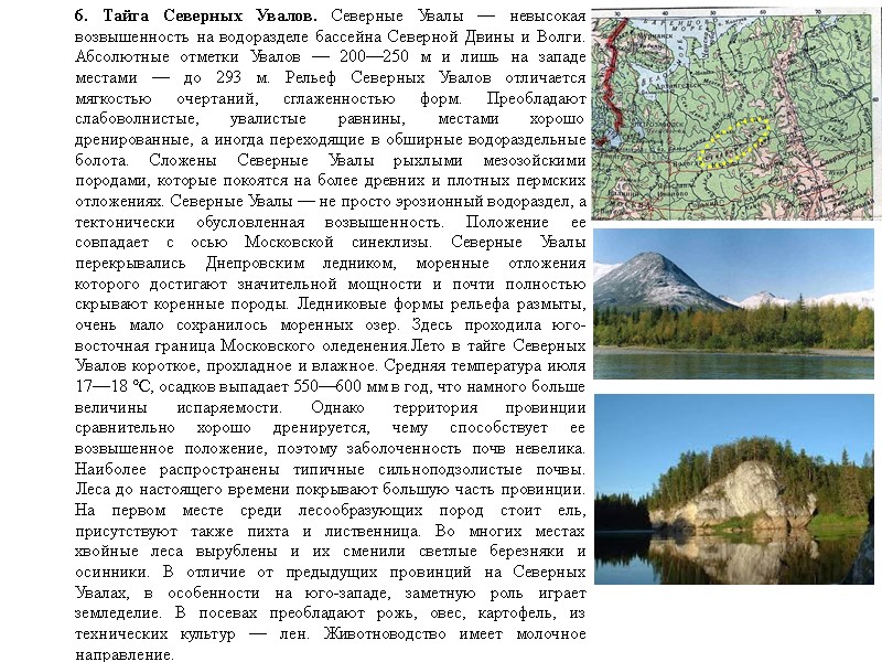 6. Тайга Северных Увалов. Северные Увалы — невысокая возвышенность на водоразделе бассейна Северной Двины